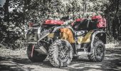 STELS ATV LEOPARD rear box